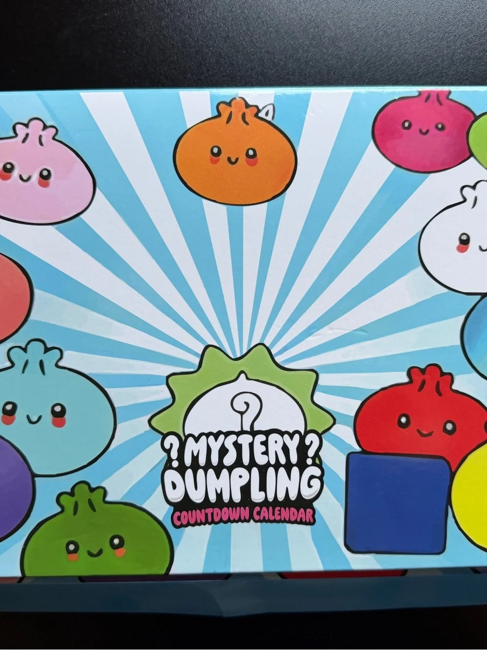 Mystery Dumpling Countdown Calendar 24 Advent Christmas Holiday Squishy Toy